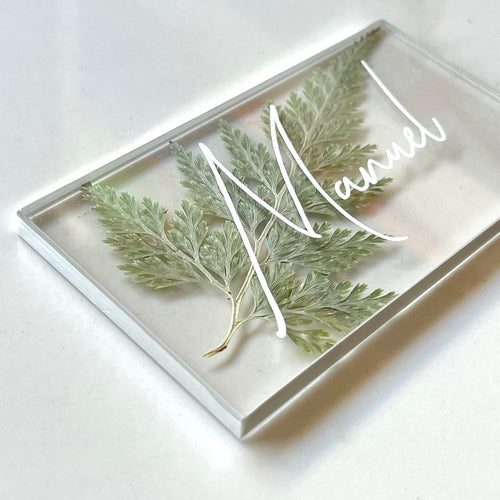 fern silver place cards